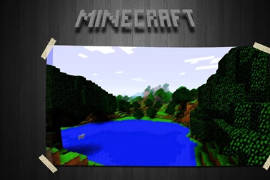 MINECRAFT STEVE WALLPAPERS FLJ004