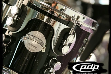 Artist Roster   PDP Pacific Drums & Percussion