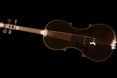 X ray Violin Wallpapers   Free Wide HD Wallpapers