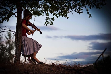 Colorful Violin Wallpapers Wallpaper.