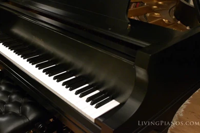 Concert Grand Piano Wallpaper Images