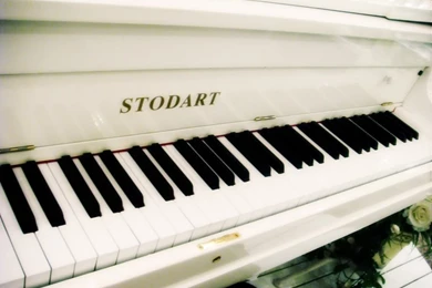 White grand piano wallpaper dsc01175.jpg