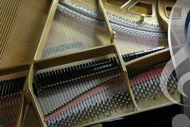 Grand Piano From The Top