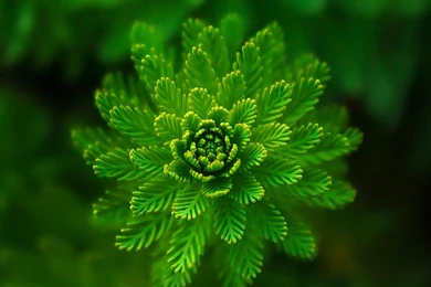 Mac iMac 27 Desktop Wallpapers HD 2560x1440, Free Desktop ...