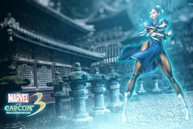 Chun Li   The Street Fighter Wallpapers   Game Wallpapers