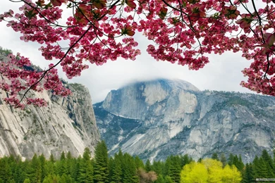 Free Wallpapers   Free Nature Wallpapers   HD Landscape 5 Wallpapers ...