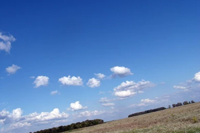 The Background. Landscape. Photo. Image № 9635