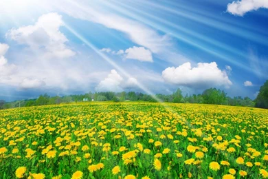 Springtime Pictures For Desktop   HD Wallpapers Lovely
