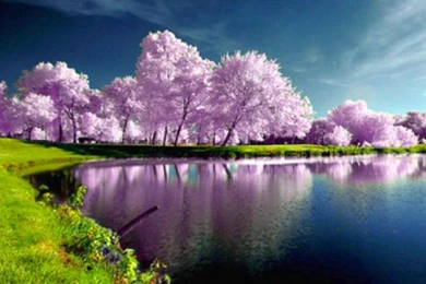 Springtime Wallpapers For Desktop