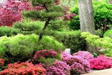 Nature Springtime Free Desktop Wallpapers For PC & Mac