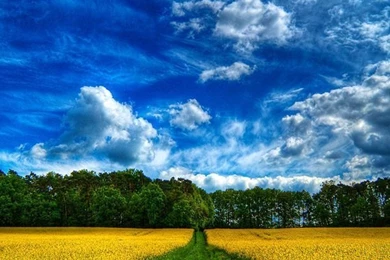 20 High Definition Spring Wallpapers