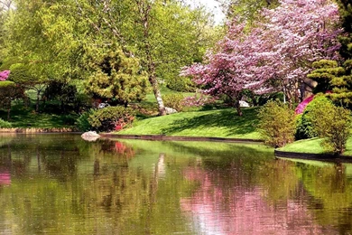 Nature Springtime Free Desktop Wallpapers For PC & Mac