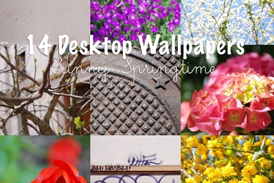 14 Sunny Desktop Wallpapers   Springtime Desktop Wallpapers ...