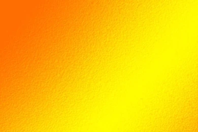 Flower Wallpapers Yellow Flowers Wallpapers Wallpapers 32812 Yellow ...