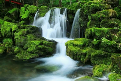 Newest iPad 3 Wallpapers > Nature Wallpapers > Waterfall   Nature ...