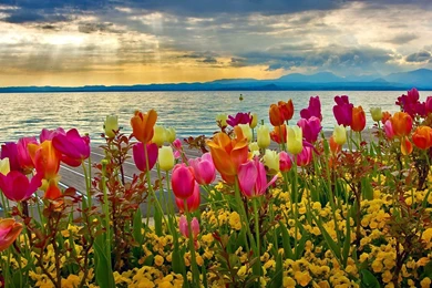 HD Spring Wallpapers For Desktop