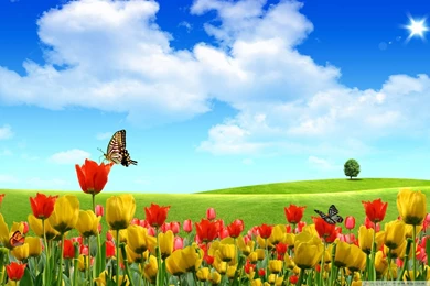 Desktop Images Spring   Jaidendesigns.com