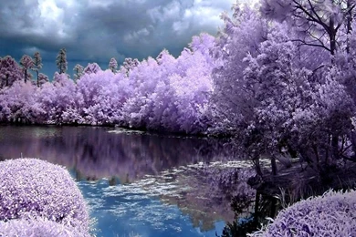 Awesome Spring Scenes Desktop Wallpapers.jpg