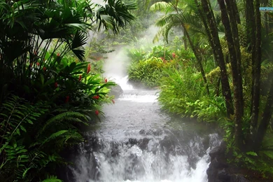 Waterfall In The Jungle Wallpapers   Nature Wallpapers