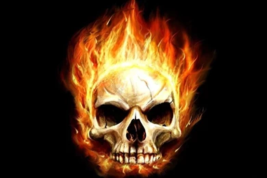 Elephant Man Skull Wallpapers   Free Elephant Man Skull Wallpapers ...