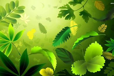 Jungle Wallpapers   Vector Wallpapers