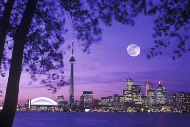 Toronto Skyline Wallpapers 162572