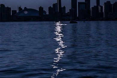 iPhone 6 Toronto Wallpapers HD, Desktop Backgrounds 750x1334