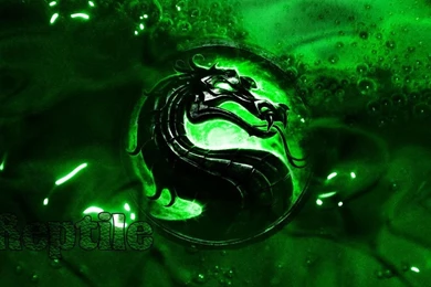 The Mortal Kombat   Reptile By Sn0dragon On DeviantArt