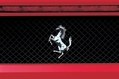 Top Ferrari Horse Wallpapers Chrome Images For Pinterest