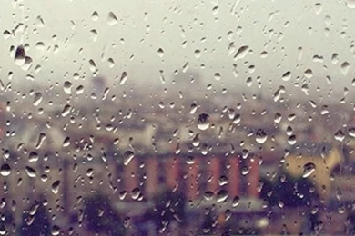 Rain iPhone 5s Wallpapers