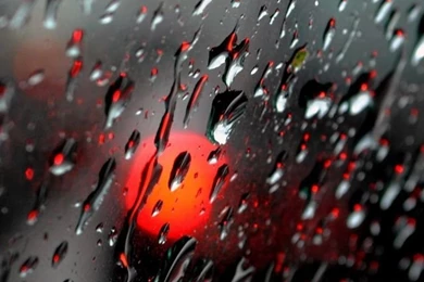 Fresh Rain Drops iPhone 5s Wallpapers Download