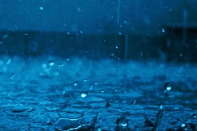 Beauty Re Rendered: iPhone 4 Rain Wallpapers Theme