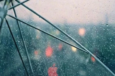 Spring Mac Wallpapers Racing In The Rain iPhone Wallpapers, Apple ...