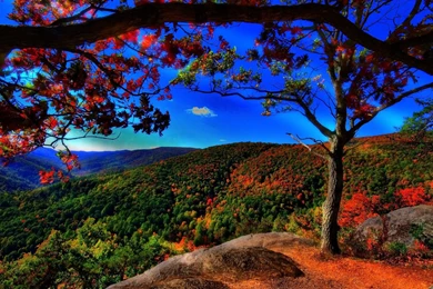 Full HD Nature Wallpapers