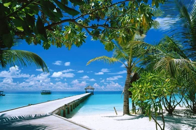 1024X768 Desktop Backgrounds Beach