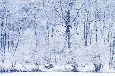 Beautiful Dream Winter Scenery Iphone 4 Wallpapers Free 640x960 Hd ...