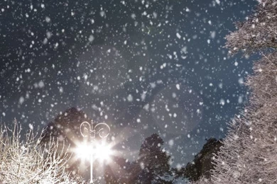 Winter Wallpapers For Iphone 6 Plus   HD Wallpaper Backgrounds Of ...