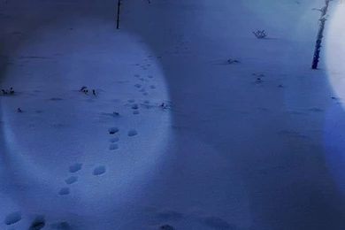 Winter iPhone 5s Wallpapers