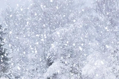 Winter iPhone 5s Wallpapers