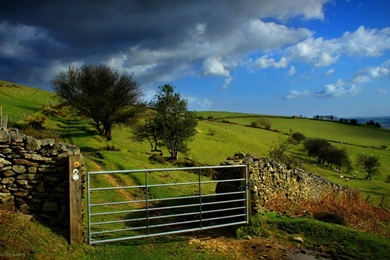 Best Hd Nature Wallpapers