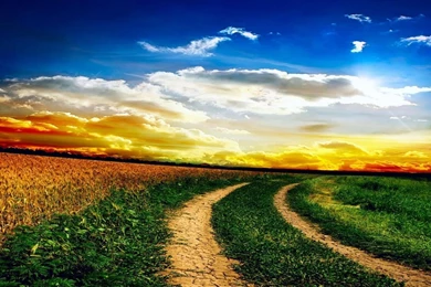 Nature Fields HD Wallpapers