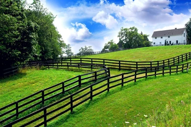 Home Nature Backgrounds Hd Wallpapers