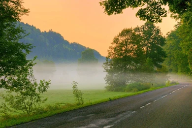 Morning Nature Wallpapers