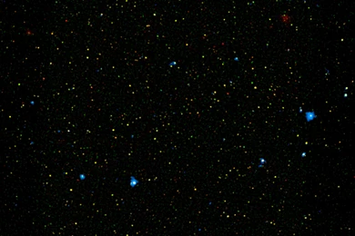 Different Flavors Of Black Holes