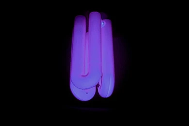 Black Light Wikipedia, The Free Encyclopedia