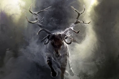 Full HD Wallpapers Fog Deer Run Pictured, Desktop Backgrounds HD 1080p