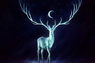 1280x1024 Deer Wallpapers HD, Desktop Backgrounds 1280x1024