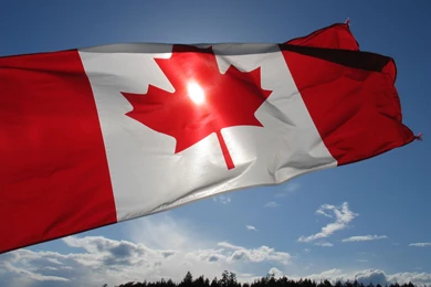 Canadianflag   DeviantArt