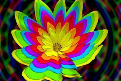 Another Meaning To The Word 'Wildflower'