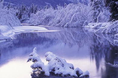 Winter Desktop Wallpapers Free   HD Wallpapers Lovely